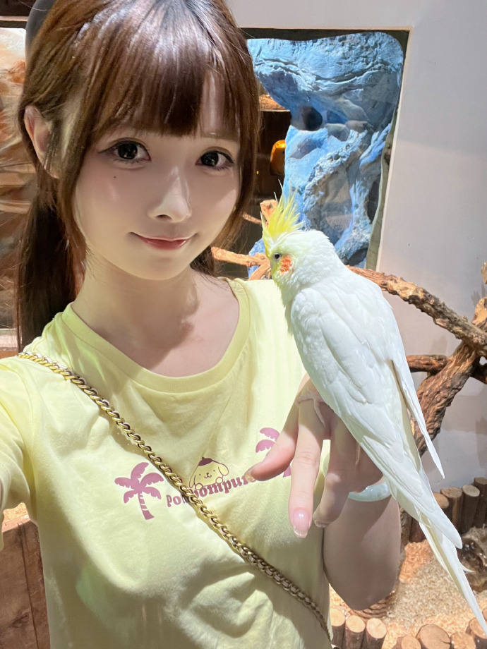 谢贤离世引发关注，CoCo悲痛欲绝表达哀思