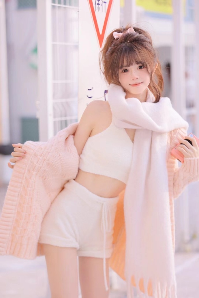 犬之岛 封面